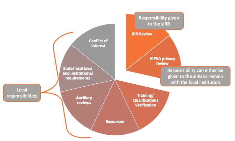 single-irbs-and-irb-authorization-agreements-research-at-penn-state